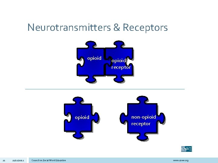 Neurotransmitters & Receptors opioid receptor methadone opioid non-opioid receptor opioid 12 12/22/2021 Council on