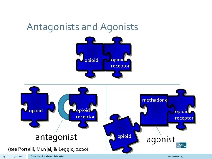 Antagonists and Agonists opioid receptor methadone opioid receptor antagonist opioid receptor opioid agonist (see