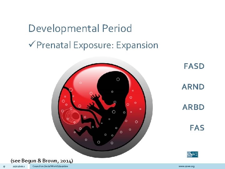 Developmental Period üPrenatal Exposure: Expansion FASD ARND ARBD FAS (see Begun & Brown, 2014)