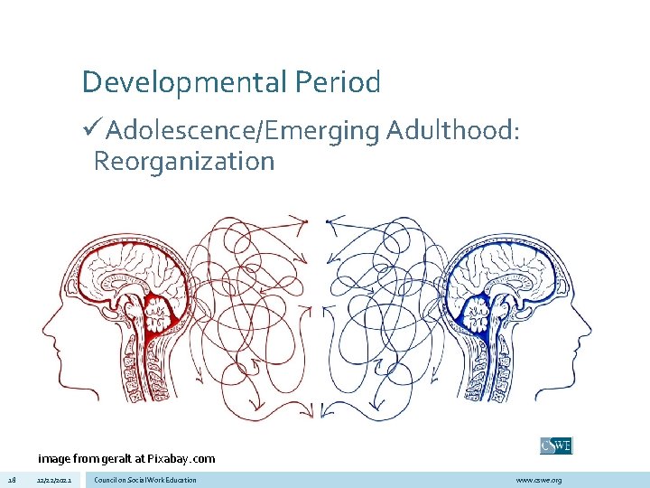 Developmental Period üAdolescence/Emerging Adulthood: Reorganization image from geralt at Pixabay. com 18 12/22/2021 Council