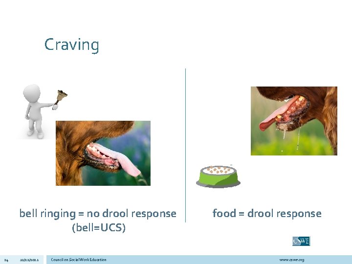 Craving bell ringing = no drool response (bell=UCS) 24 12/22/2021 Council on Social Work
