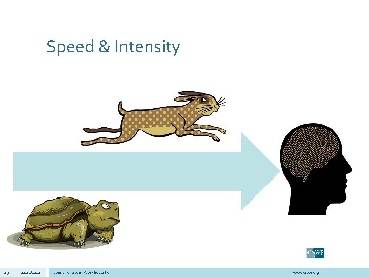 Speed & Intensity 29 12/22/2021 Council on Social Work Education www. cswe. org 