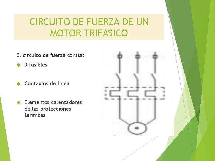 CIRCUITO DE FUERZA DE UN MOTOR TRIFASICO El circuito de fuerza consta: 3 fusibles