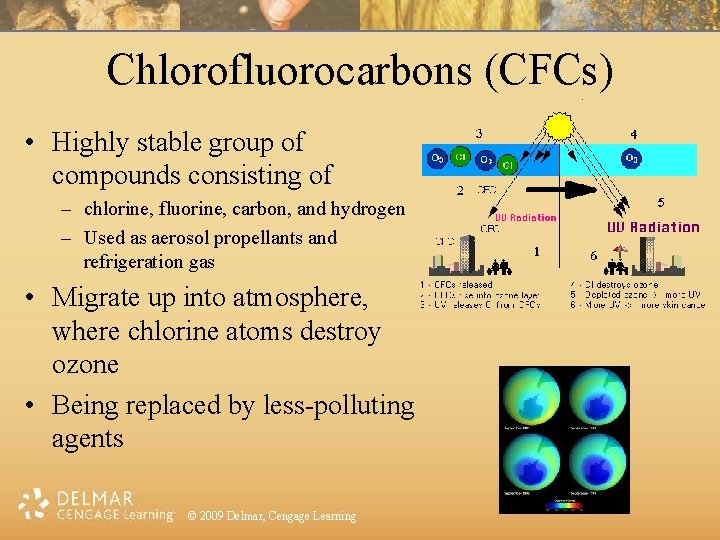 Chlorofluorocarbons (CFCs) • Highly stable group of compounds consisting of – chlorine, fluorine, carbon,