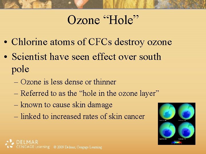 Ozone “Hole” • Chlorine atoms of CFCs destroy ozone • Scientist have seen effect
