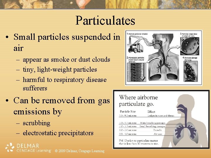 Particulates • Small particles suspended in air – appear as smoke or dust clouds