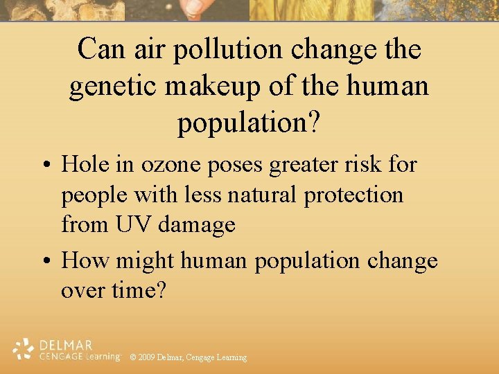 Can air pollution change the genetic makeup of the human population? • Hole in