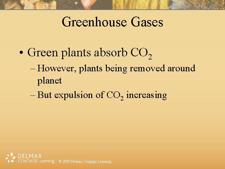 Greenhouse Gases • Green plants absorb CO 2 – However, plants being removed around