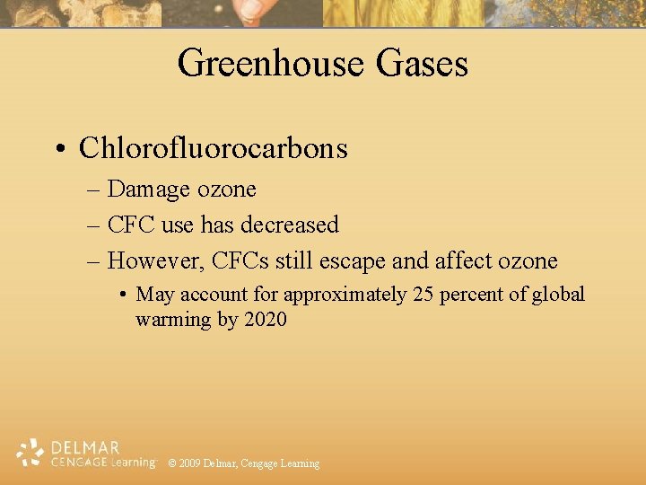 Greenhouse Gases • Chlorofluorocarbons – Damage ozone – CFC use has decreased – However,