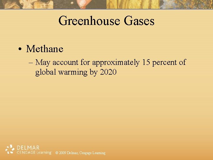 Greenhouse Gases • Methane – May account for approximately 15 percent of global warming