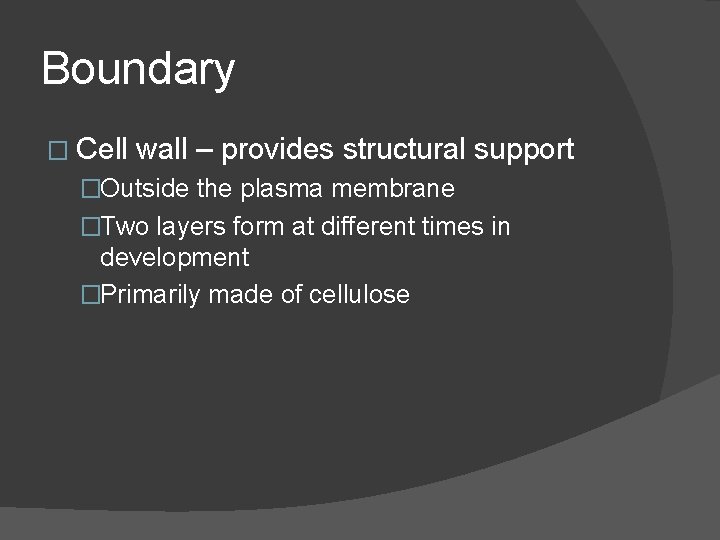 Boundary � Cell wall – provides structural support �Outside the plasma membrane �Two layers Boundary � Cell wall – provides structural support �Outside the plasma membrane �Two layers