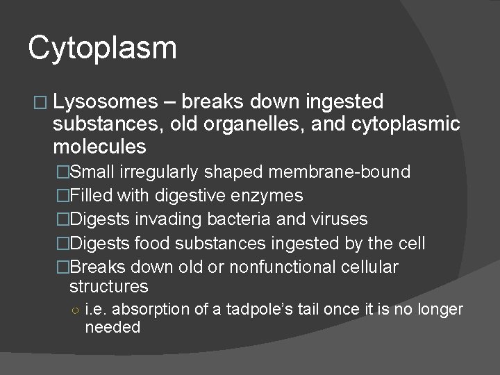 Cytoplasm � Lysosomes – breaks down ingested substances, old organelles, and cytoplasmic molecules �Small Cytoplasm � Lysosomes – breaks down ingested substances, old organelles, and cytoplasmic molecules �Small