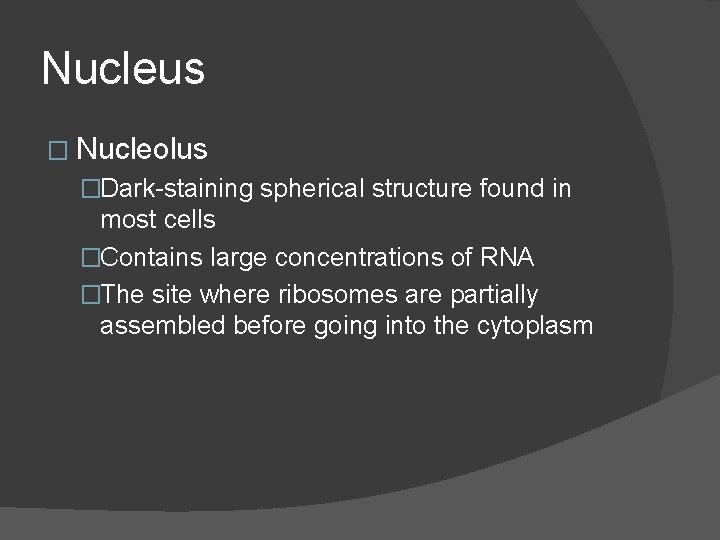 Nucleus � Nucleolus �Dark-staining spherical structure found in most cells �Contains large concentrations of Nucleus � Nucleolus �Dark-staining spherical structure found in most cells �Contains large concentrations of