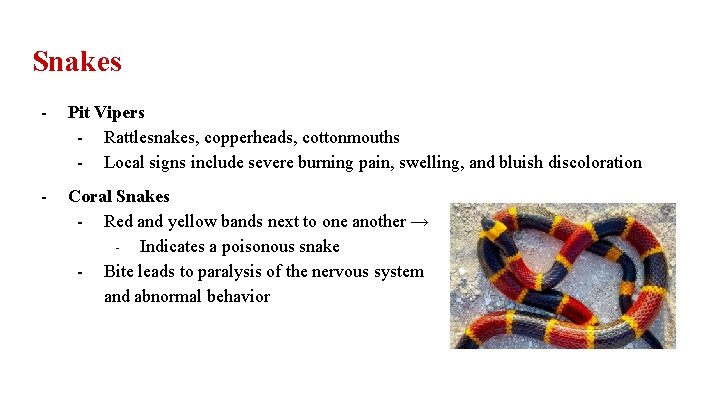 Snakes - Pit Vipers - Rattlesnakes, copperheads, cottonmouths - Local signs include severe burning