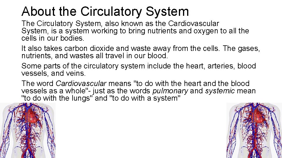 About the Circulatory System The Circulatory System, also known as the Cardiovascular System, is