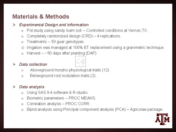 Materials & Methods Ø Experimental Design and information o Pot study using sandy loam