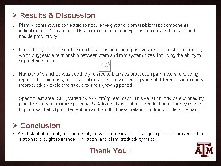 Ø Results & Discussion o Plant N-content was correlated to nodule weight and biomass/biomass