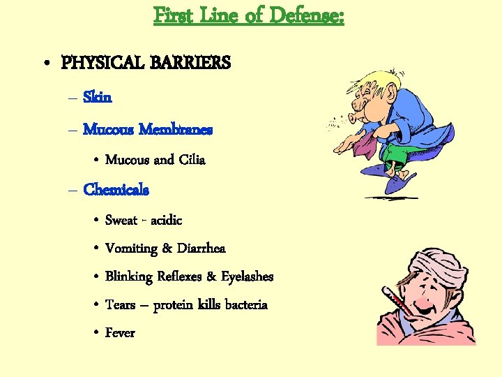 First Line of Defense: • PHYSICAL BARRIERS – Skin – Mucous Membranes • Mucous