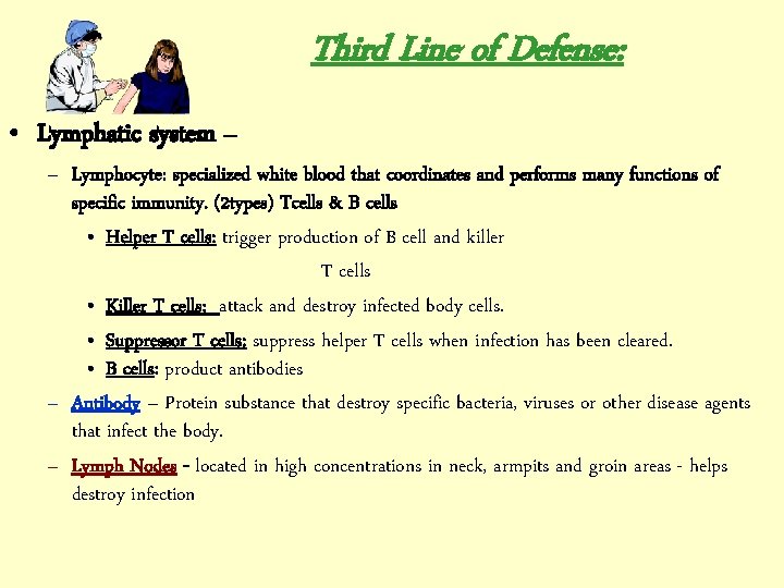Third Line of Defense: • Lymphatic system – – Lymphocyte: specialized white blood that