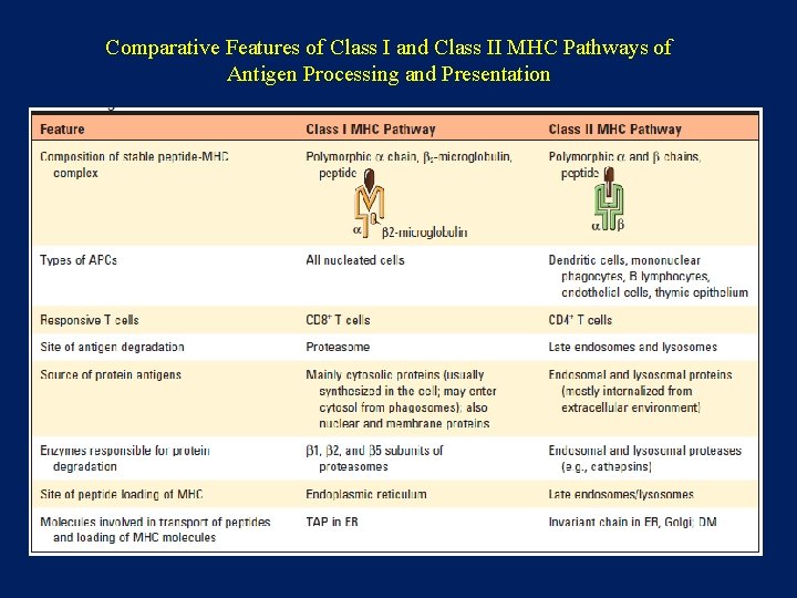 Comparative Features of Class I and Class II MHC Pathways of Antigen Processing and