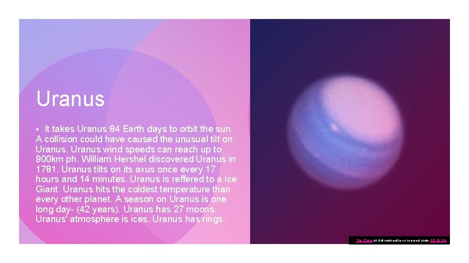 Uranus It takes Uranus 84 Earth days to orbit the sun. A collision could