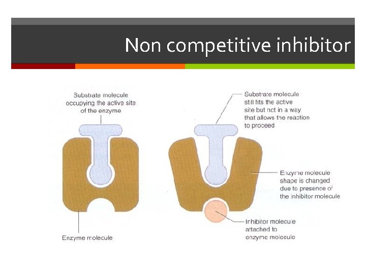 Non competitive inhibitor 