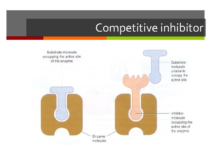Competitive inhibitor 