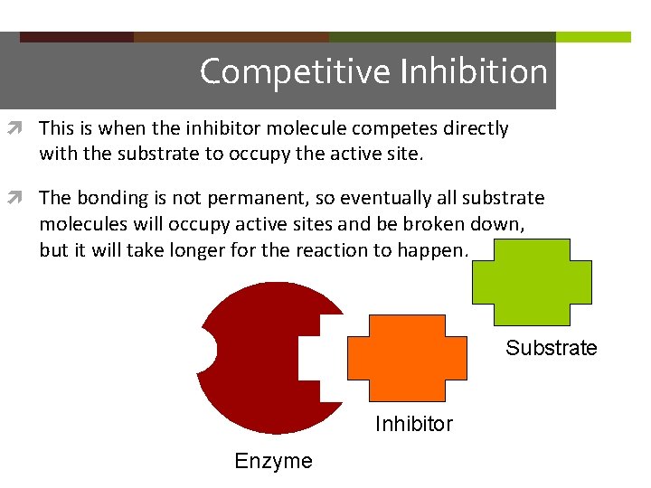 Competitive Inhibition This is when the inhibitor molecule competes directly with the substrate to