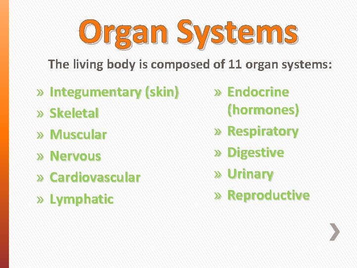 Organ Systems The living body is composed of 11 organ systems: » Integumentary (skin)