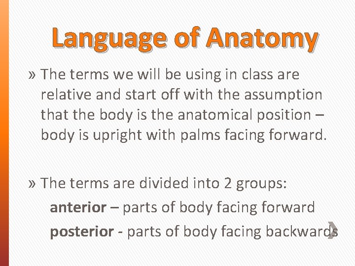 Language of Anatomy » The terms we will be using in class are relative