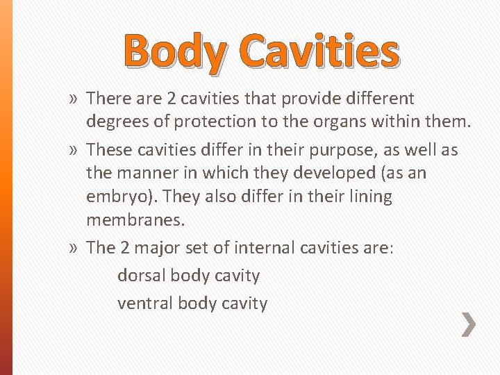 Body Cavities » There are 2 cavities that provide different degrees of protection to