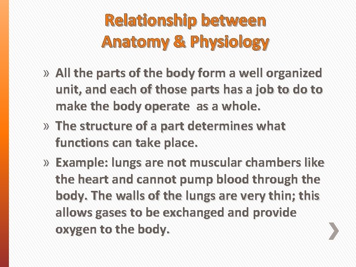 Relationship between Anatomy & Physiology » All the parts of the body form a