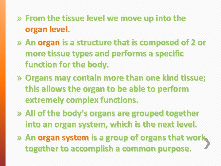 » From the tissue level we move up into the organ level. » An