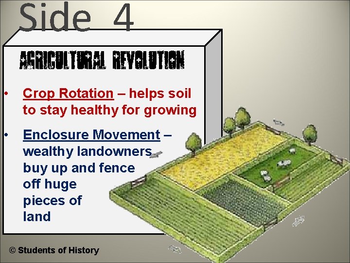 Side 4 Agricultural Revolution • Crop Rotation – helps soil to stay healthy for