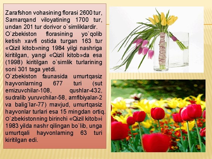 Zarafshon vohasining florasi 2600 tur, Samarqand viloyatining 1700 tur, undan 201 tur dorivor o`simliklardir.