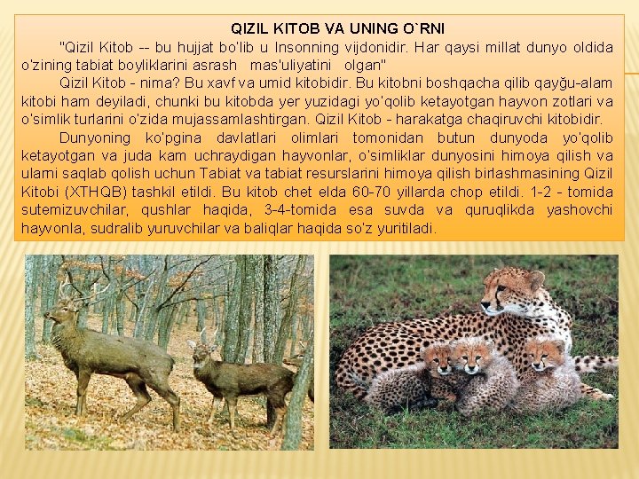 QIZIL KITOB VA UNING O`RNI "Qizil Kitob -- bu hujjat bo’lib u Insonning vijdonidir.