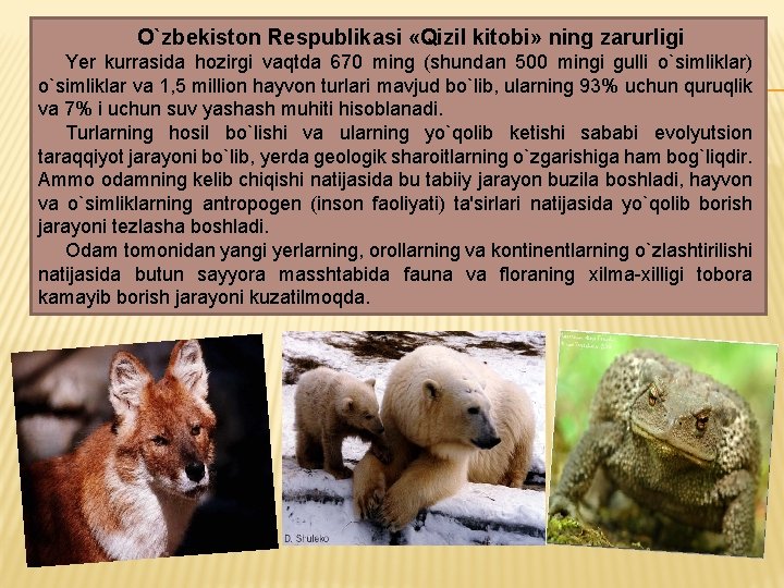 O`zbekiston Respublikasi «Qizil kitobi» ning zarurligi Yer kurrasida hozirgi vaqtda 670 ming (shundan 500