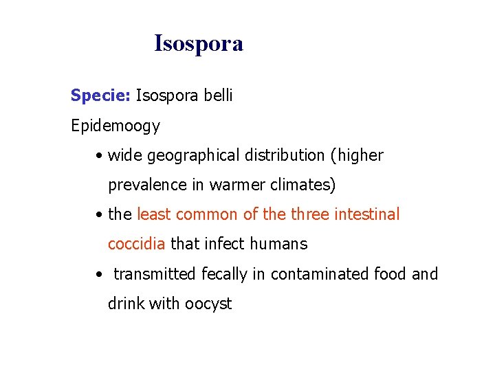 Isospora Specie: Isospora belli Epidemoogy • wide geographical distribution (higher prevalence in warmer climates)