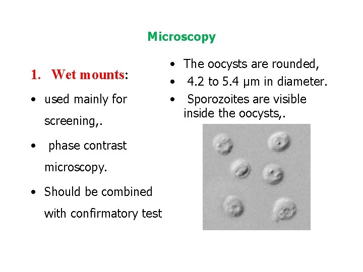 Microscopy 1. Wet mounts: • used mainly for screening, . • phase contrast microscopy.