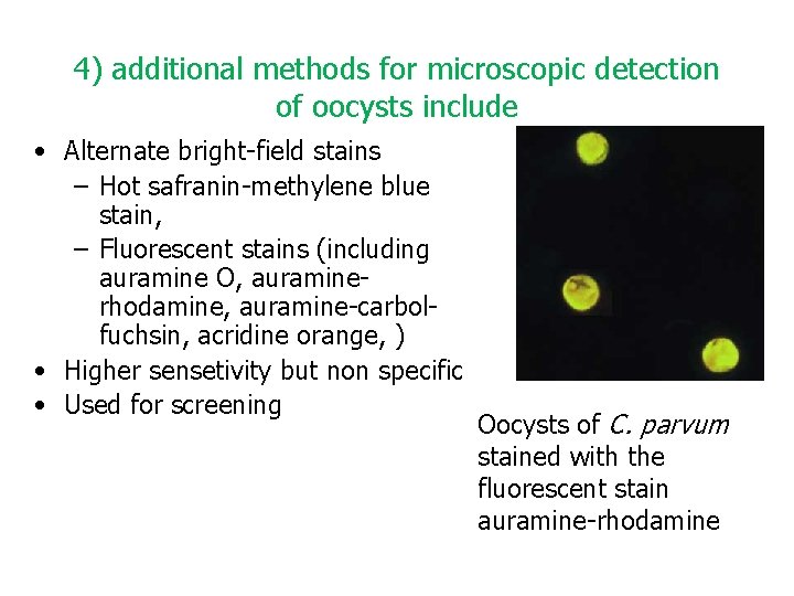 4) additional methods for microscopic detection of oocysts include • Alternate bright-field stains –