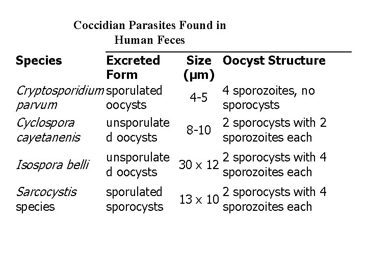 Coccidian Parasites Found in Human Feces Species Excreted Form Cryptosporidium sporulated parvum oocysts Cyclospora