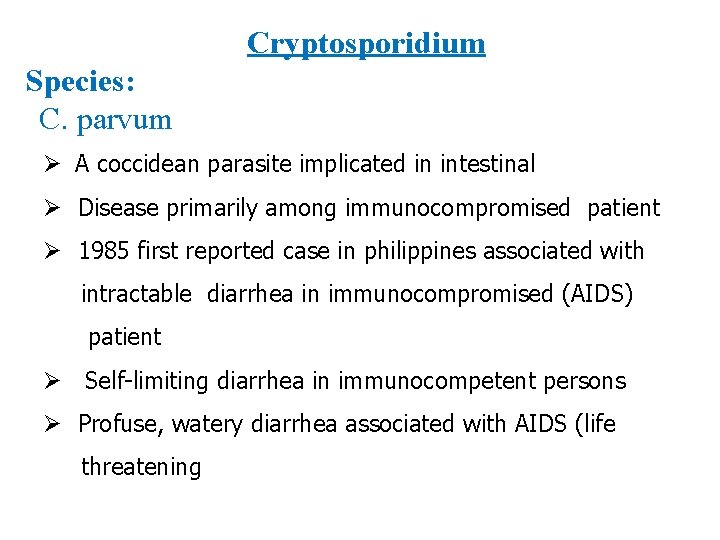 Cryptosporidium Species: C. parvum Ø A coccidean parasite implicated in intestinal Ø Disease primarily