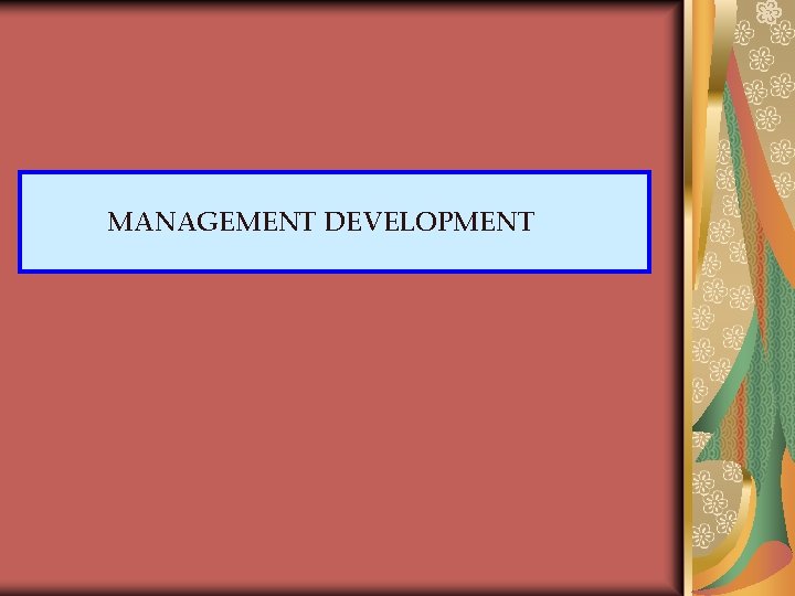 MANAGEMENT DEVELOPMENT 