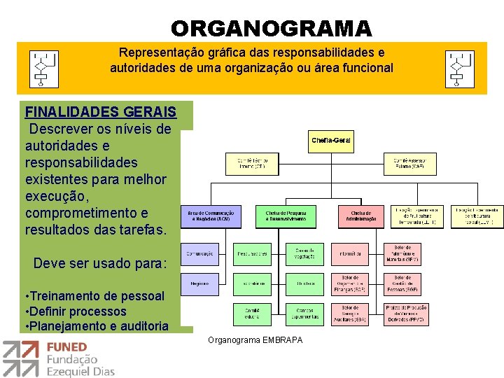 ORGANOGRAMA Representação gráfica das responsabilidades e autoridades de uma organização ou área funcional FINALIDADES