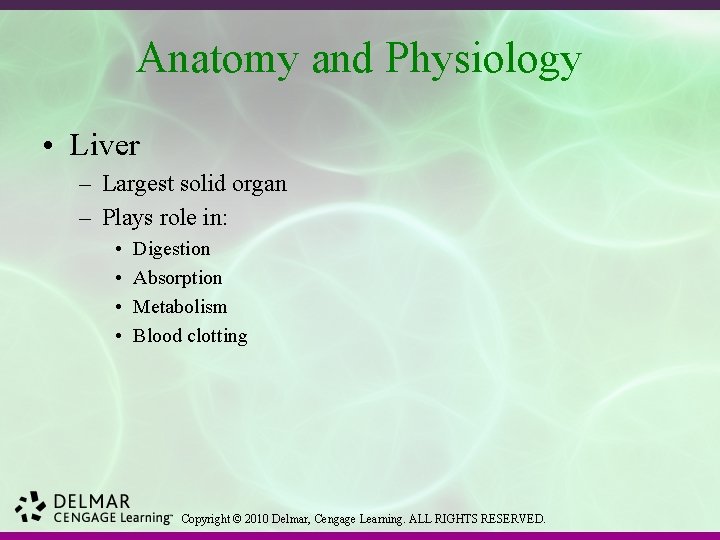 Anatomy and Physiology • Liver – Largest solid organ – Plays role in: •