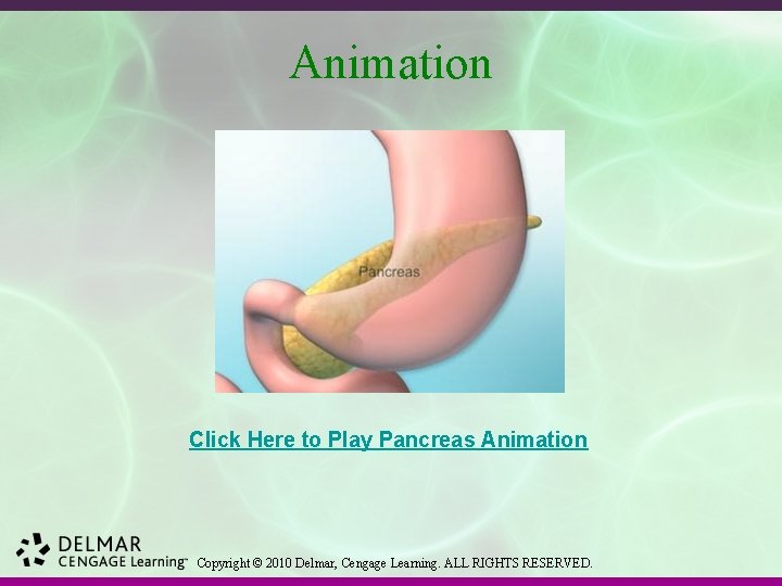 Animation Click Here to Play Pancreas Animation Copyright © 2010 Delmar, Cengage Learning. ALL