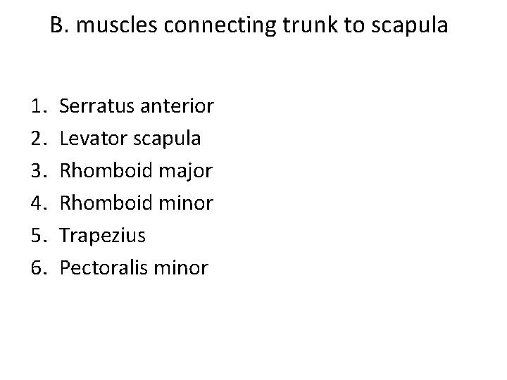 B. muscles connecting trunk to scapula 1. 2. 3. 4. 5. 6. Serratus anterior