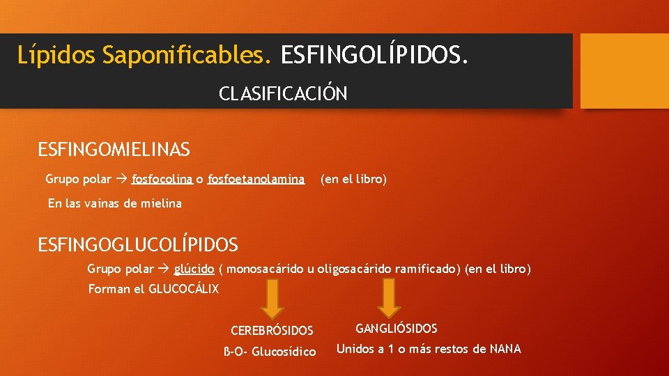 Lípidos Saponificables. ESFINGOLÍPIDOS. CLASIFICACIÓN ESFINGOMIELINAS Grupo polar fosfocolina o fosfoetanolamina (en el libro) En