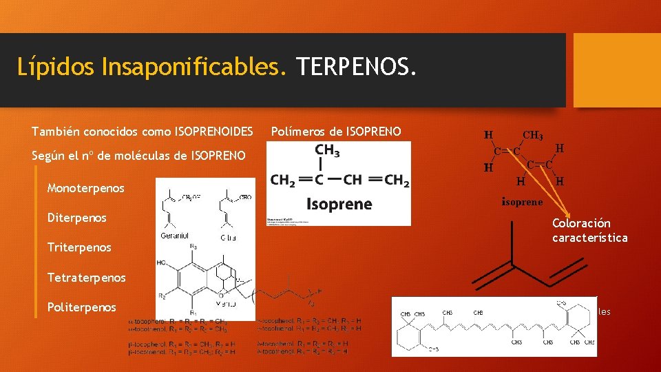 Lípidos Insaponificables. TERPENOS. También conocidos como ISOPRENOIDES Polímeros de ISOPRENO Según el nº de