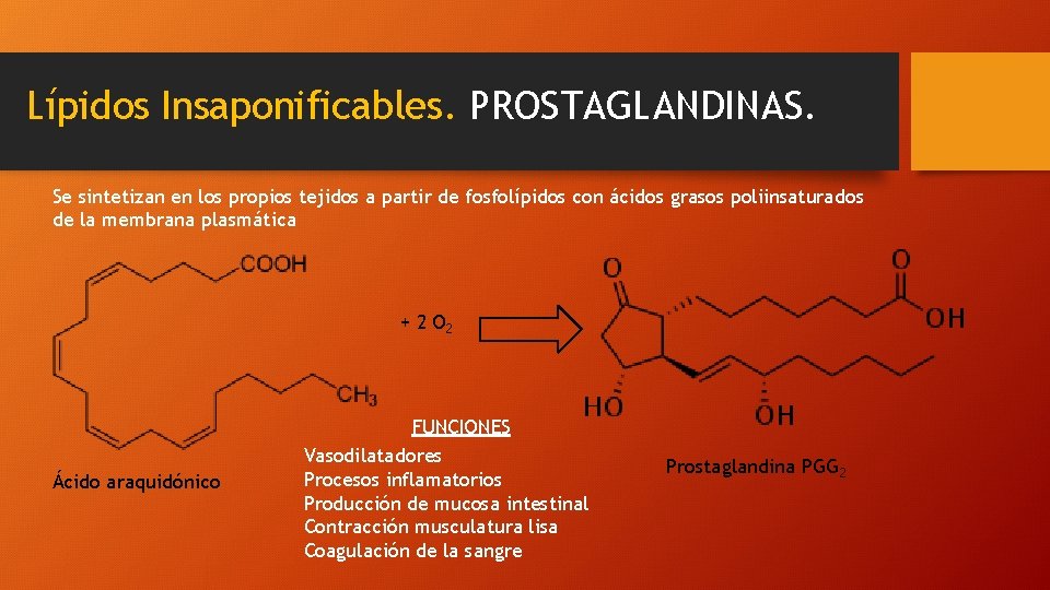 Lípidos Insaponificables. PROSTAGLANDINAS. Se sintetizan en los propios tejidos a partir de fosfolípidos con